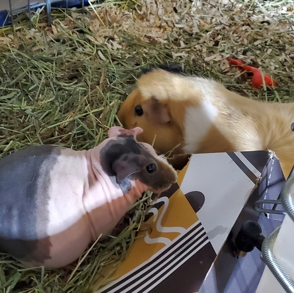 Intention jars - Picture 17 of 17